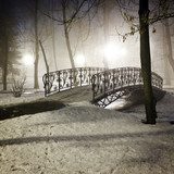 Park bridge in winter 