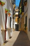 Traditional Cordoba Street, Andalusia, Spain 
