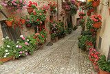 old paved street with incredible many flowers, village Spello 
