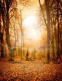 Jesienny las, jesienne słońce