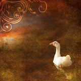 Vintage shabby chic background with goose 