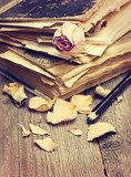 Dry rose and old books 