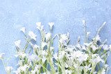 White wildflowers on color wooden background 