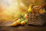 Autumn pears 