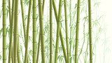 Horizontal illustration with many bamboos.