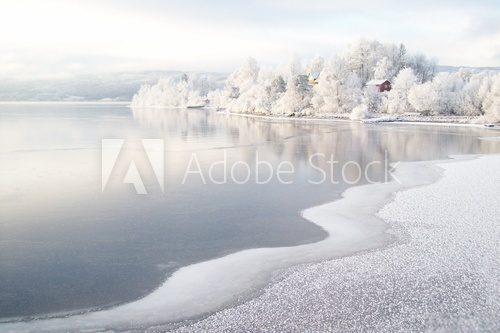 Winter am Fjord