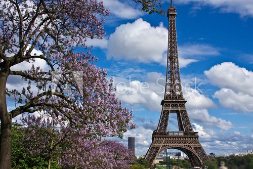 The Eiffel Tower in the Spring
