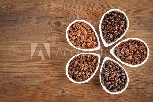 Coffee Bean Varieties