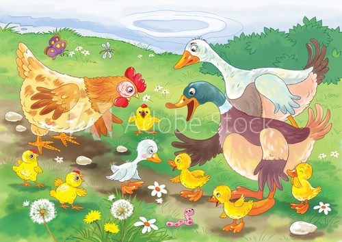 Ugly duckling. Fairy tale. Illustration for children