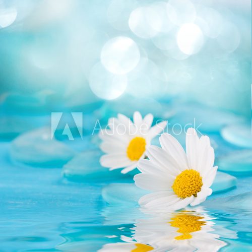Spa Hintergrund - Blüten im Wasser