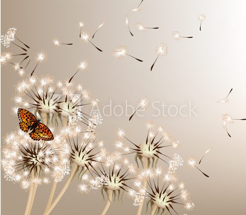 Abstract background with vector dandelions