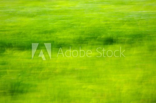 Light green background