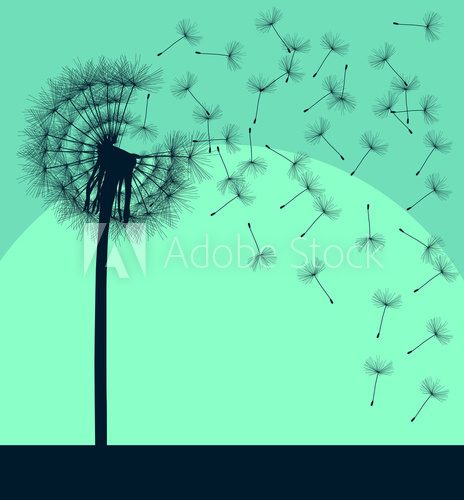 Blow dandelion vector vintage background concept