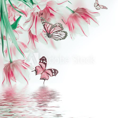 Red tulips  and  butterfly. Floral background.