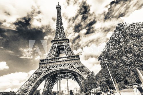 The tower of Paris