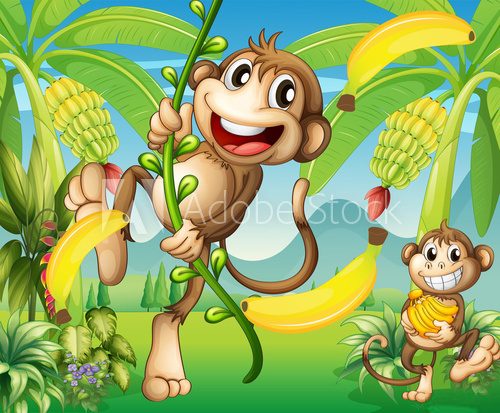 Two monkeys near the banana plant