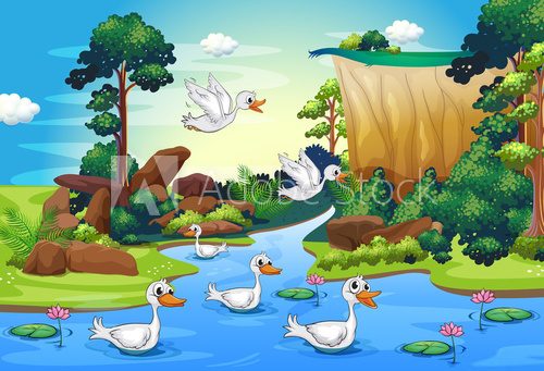 A group of ducks at the river in the forest