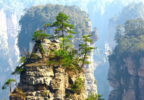 Zhangjiajie National Park, China. Avatar mountains