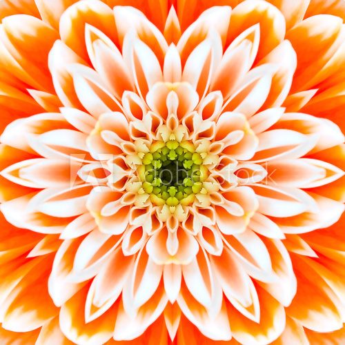 Orange Concentric Flower Center. Mandala Kaleidoscopic design