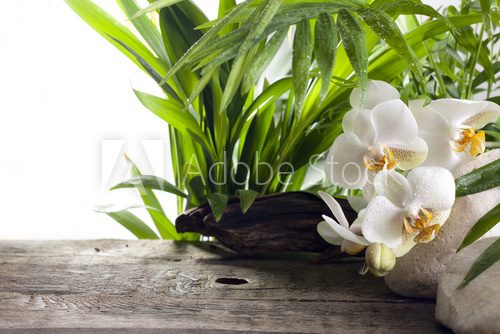 Orchids on stone and wooden boards spa concept background