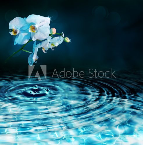 drop in water with orchid, in dark