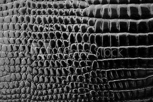 Black leather snake texture