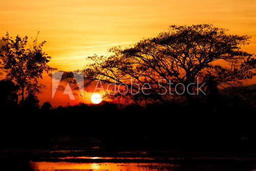 Sunset landscape on water field