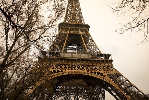 Eiffel tower with trees