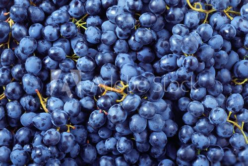 Fresh ripe grape. Food background. Dark grape. Blue grape. Wine grape.