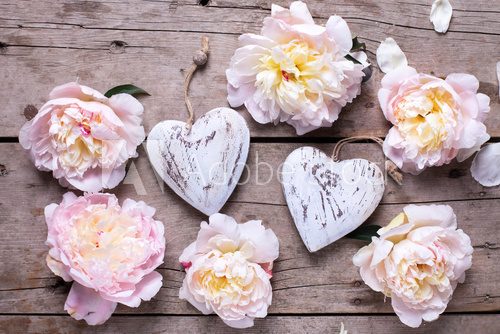 Decorative hearts  and  pink peonies flowers on aged wooden back