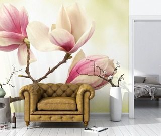 magnolia wyzszy poziom delikatnosci fototapety kwiaty fototapety demural
