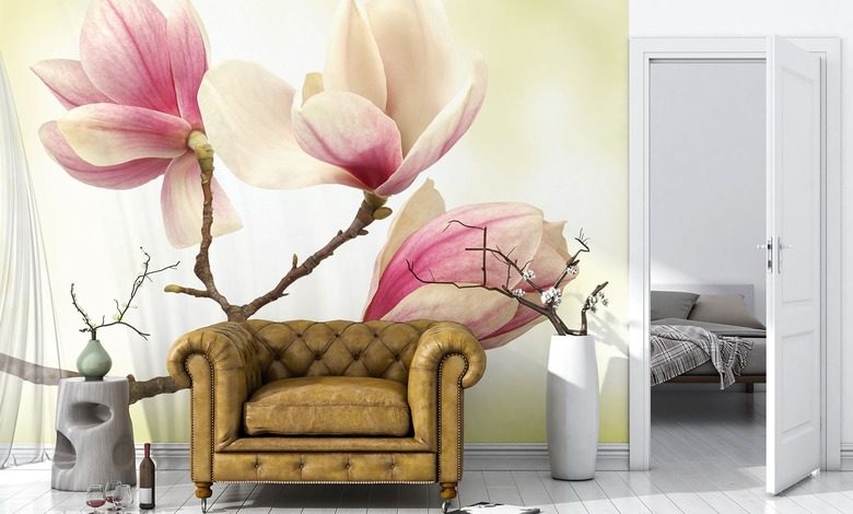 magnolia wyzszy poziom delikatnosci fototapety kwiaty fototapety demural