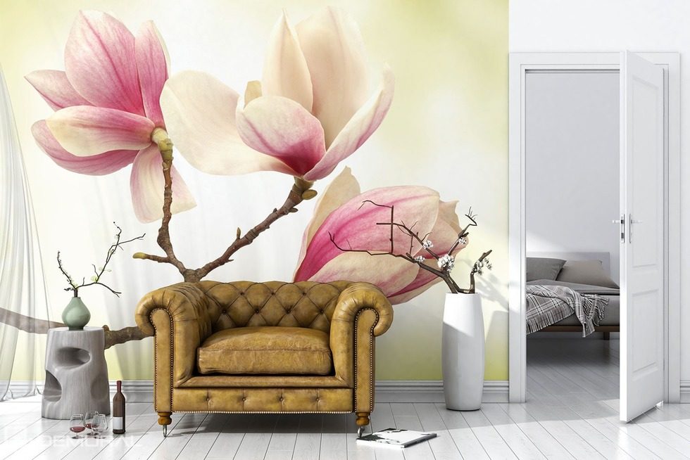 Magnolia - Wyższy poziom delikatności Fototapety Kwiaty Fototapety Demural