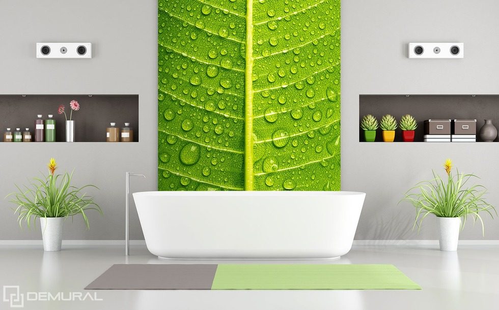 Zielone, intymne zbliżenia Fototapety do łazienki Fototapety Demural