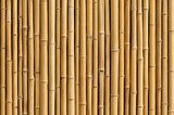 W bambusowych wzorkach