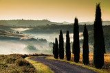 Tuscany bales 
