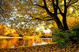 Goldener Herbst mit ruhigem See im Park :) 