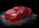 Sports car under cover 