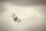 Fokker Dr.I triplane in the sky 