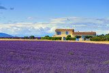 Provence rural landscape 