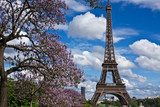 The Eiffel Tower in the Spring 