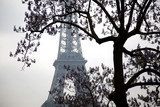 Big tree on the Eiffel tower, Paris. France. 