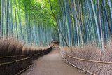 Arashiyama Bamboo Grove of Bamboo Forest in Kyoto, Japan