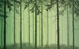 background seamless horizontal pine wood, green tones, vector illustration. It can be used as wallpaper in the interior
