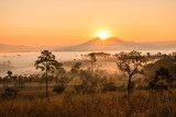  savanna with sunrise and fog 