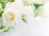Delikatność białej róży