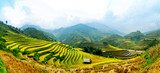 Rice Terraces in  Vietnam 