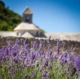 Abbaye de SÃ©nanque with lavender field, Provence, France 