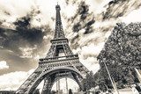 The tower of Paris 