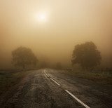 Autumn Landscape with Trees and Road in Fog 